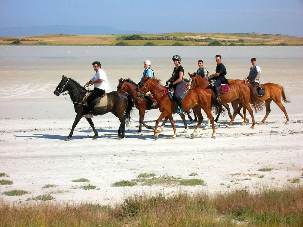 Horse Country Resort Congress & Spa - Hotel Ribot Арбореа Екстериор снимка