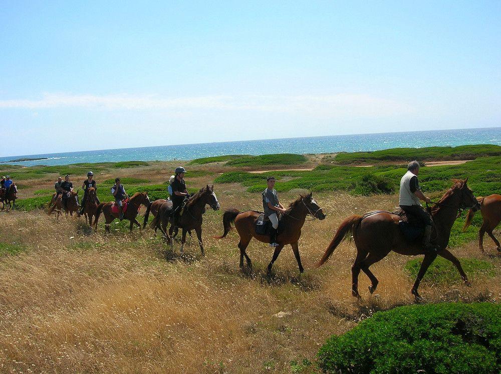 Horse Country Resort Congress & Spa - Hotel Ribot Арбореа Екстериор снимка