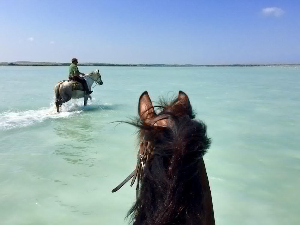 Horse Country Resort Congress & Spa - Hotel Ribot Арбореа Екстериор снимка