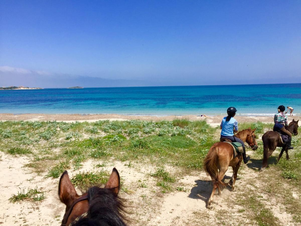 Horse Country Resort Congress & Spa - Hotel Ribot Арбореа Екстериор снимка
