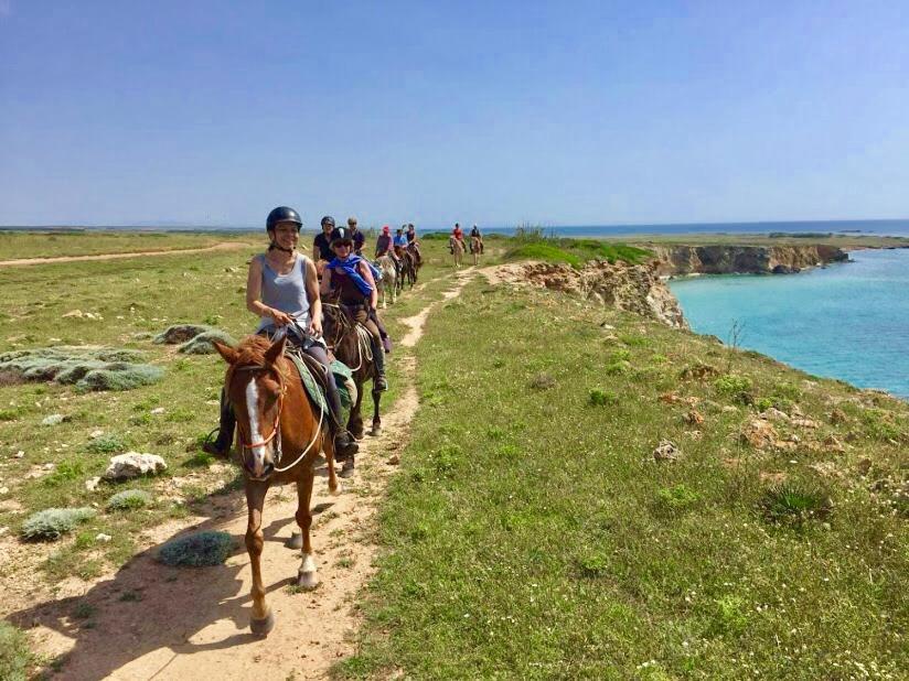 Horse Country Resort Congress & Spa - Hotel Ribot Арбореа Екстериор снимка
