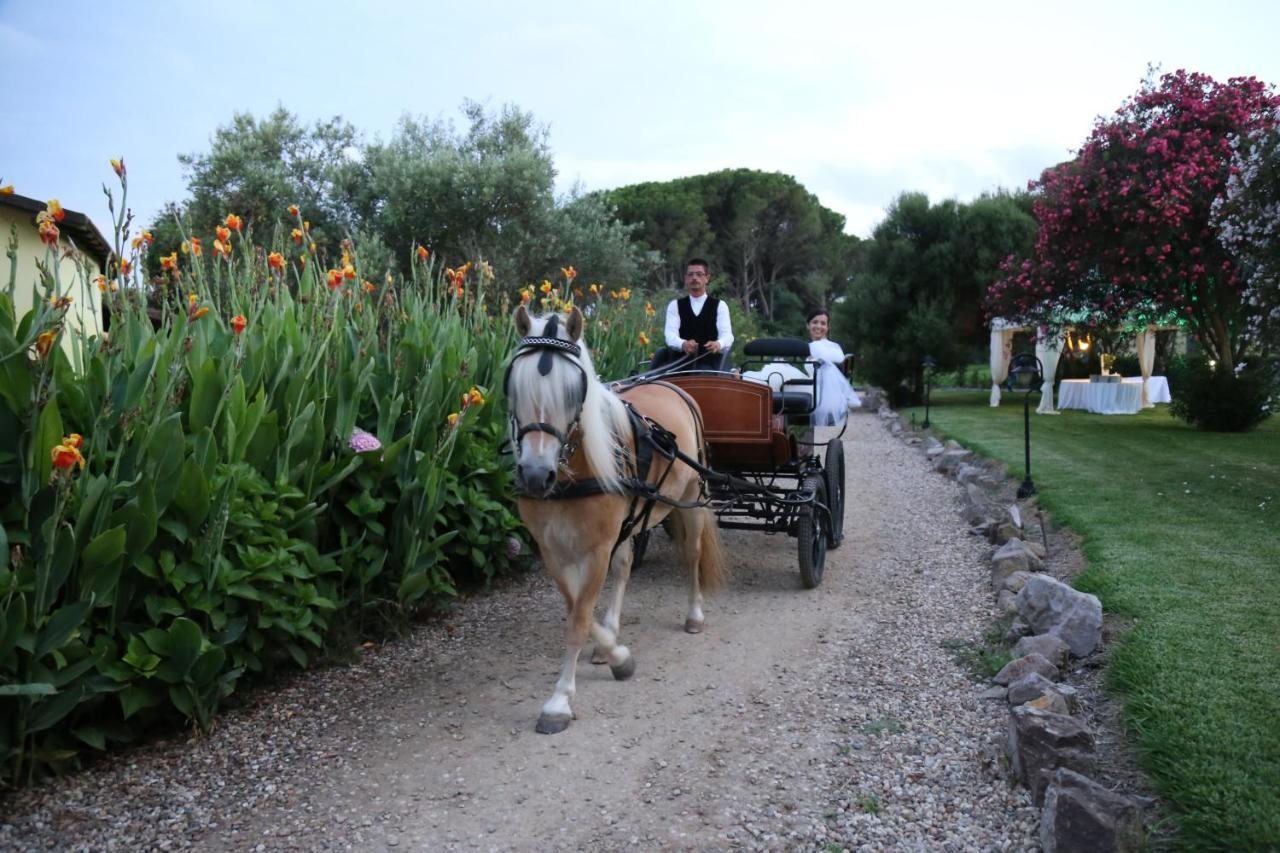 Horse Country Resort Congress & Spa - Hotel Ribot Арбореа Екстериор снимка